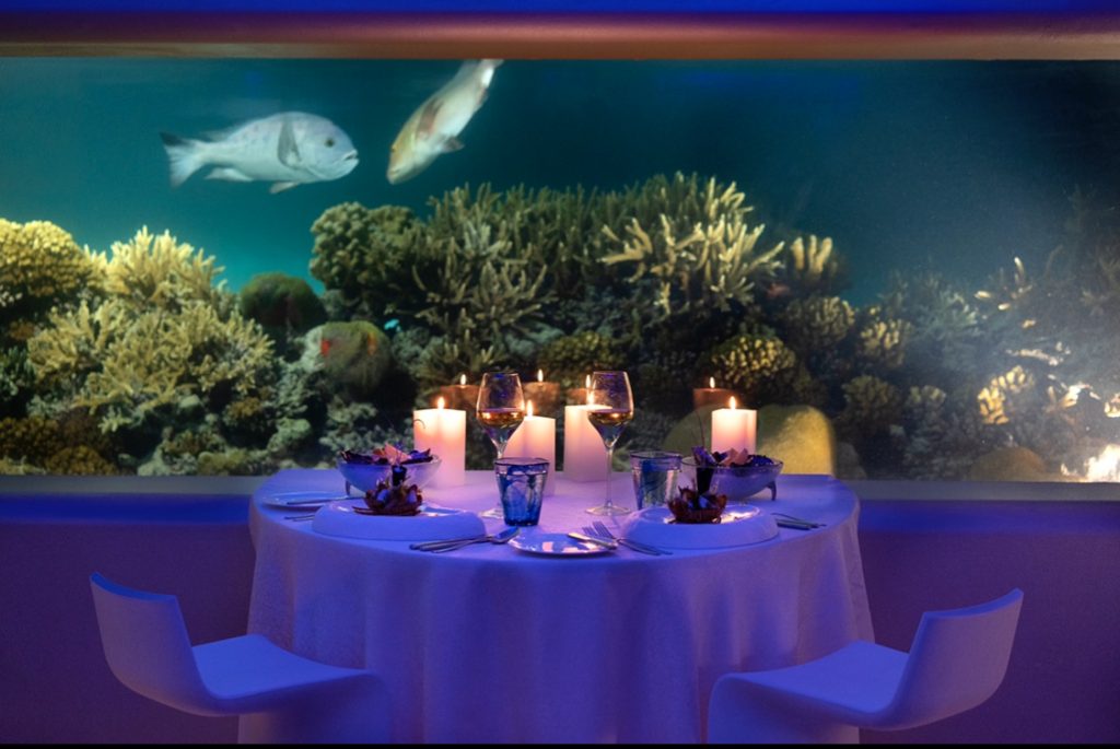 Иммерсивные ужины в подводном ресторане Latitude 4° на Мальдивах