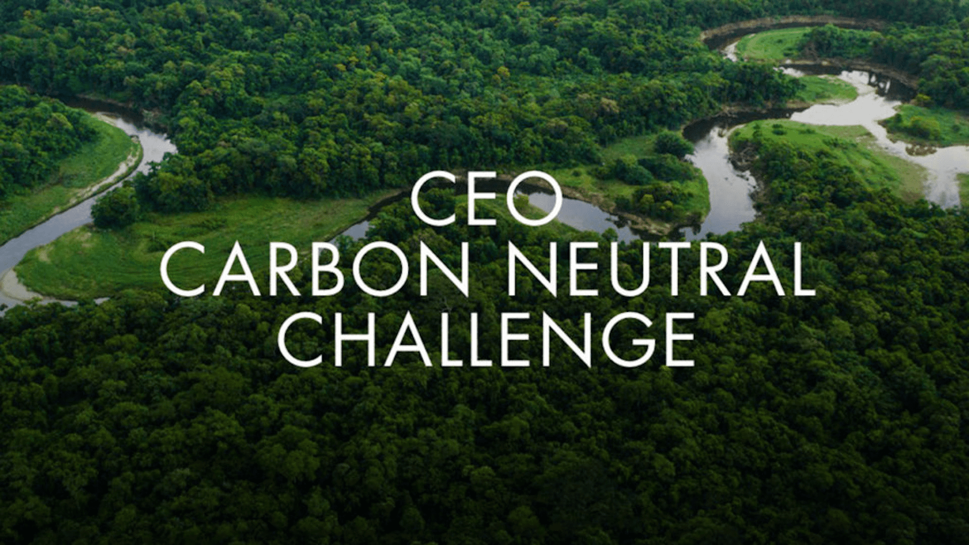 CEO Carbon Neutral Challenge