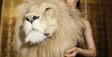 PETA высказалась по поводу реалистичных чучел животных из кутюрной коллекции Schiaparelli 