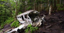 Четверо детей 40 дней выживали в джунглях после авиакатастрофы
