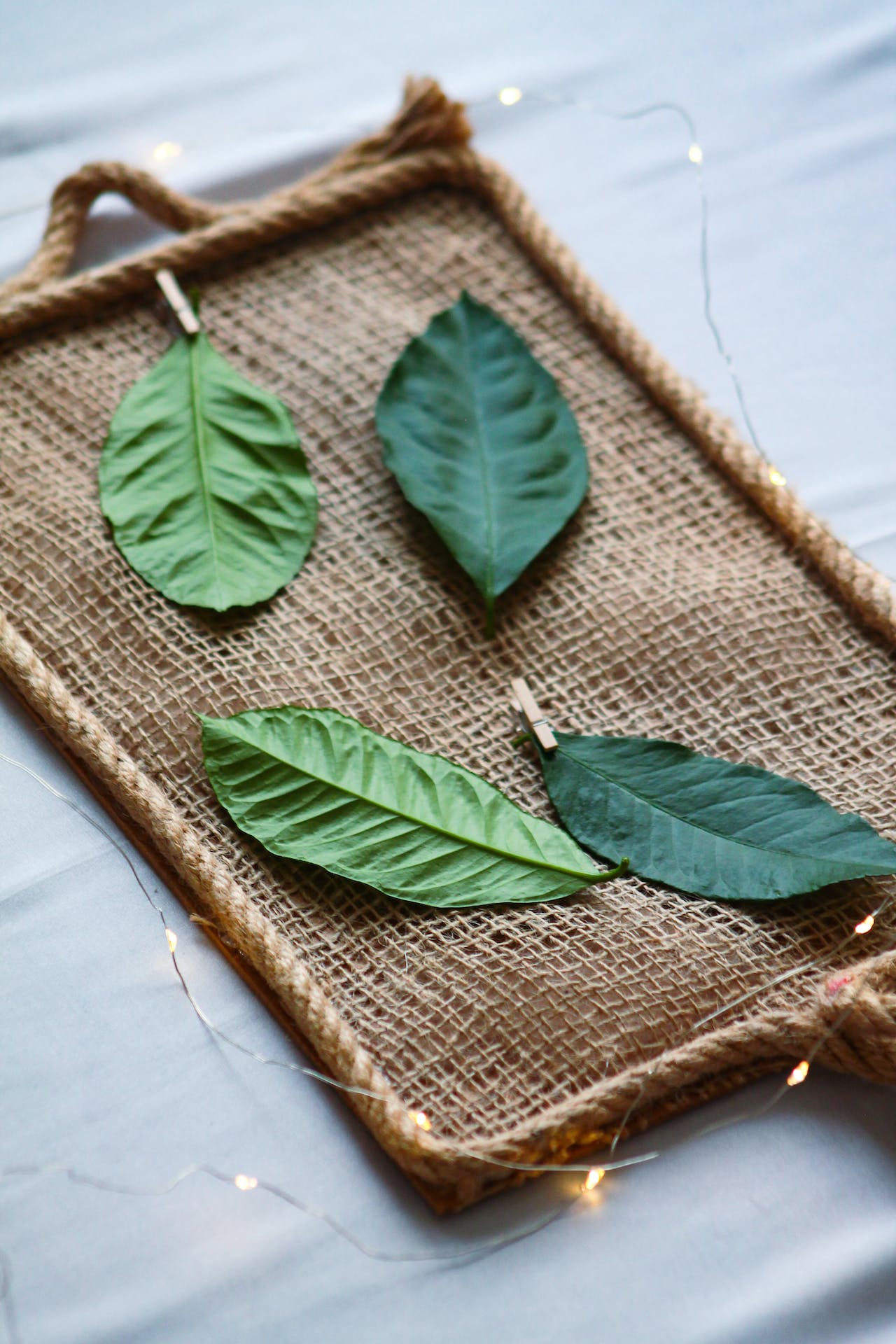 Зеленый чай в косметике: в чем его польза?