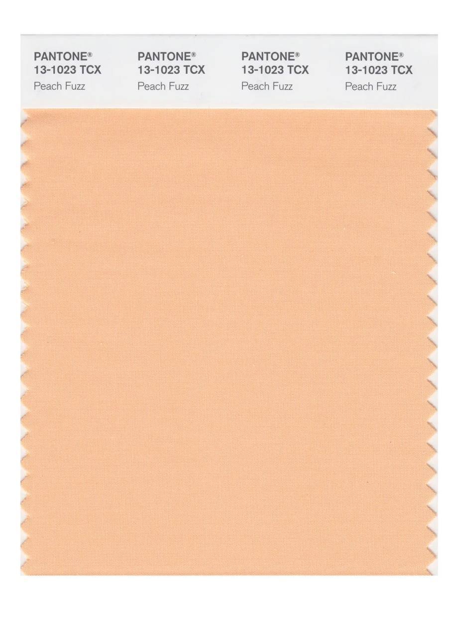 Pantone цвет 2024