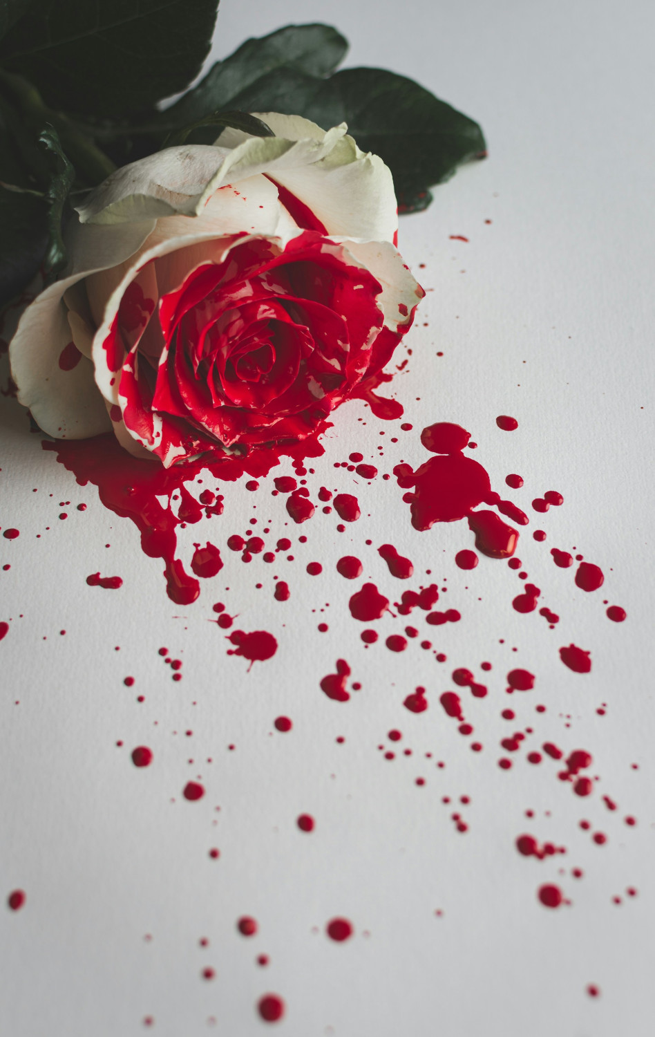 Кровь, цвет менструальной крови, роза
