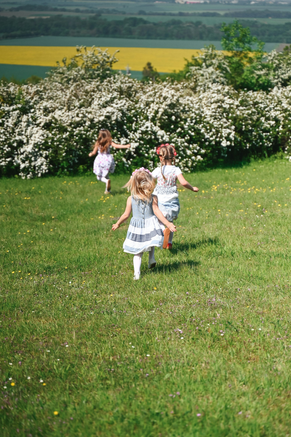 Дети бегают по траве, укрепить эмоциональную связь, связь между ребенком и родителем