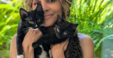 Холли Берри спасла бездомных кошек