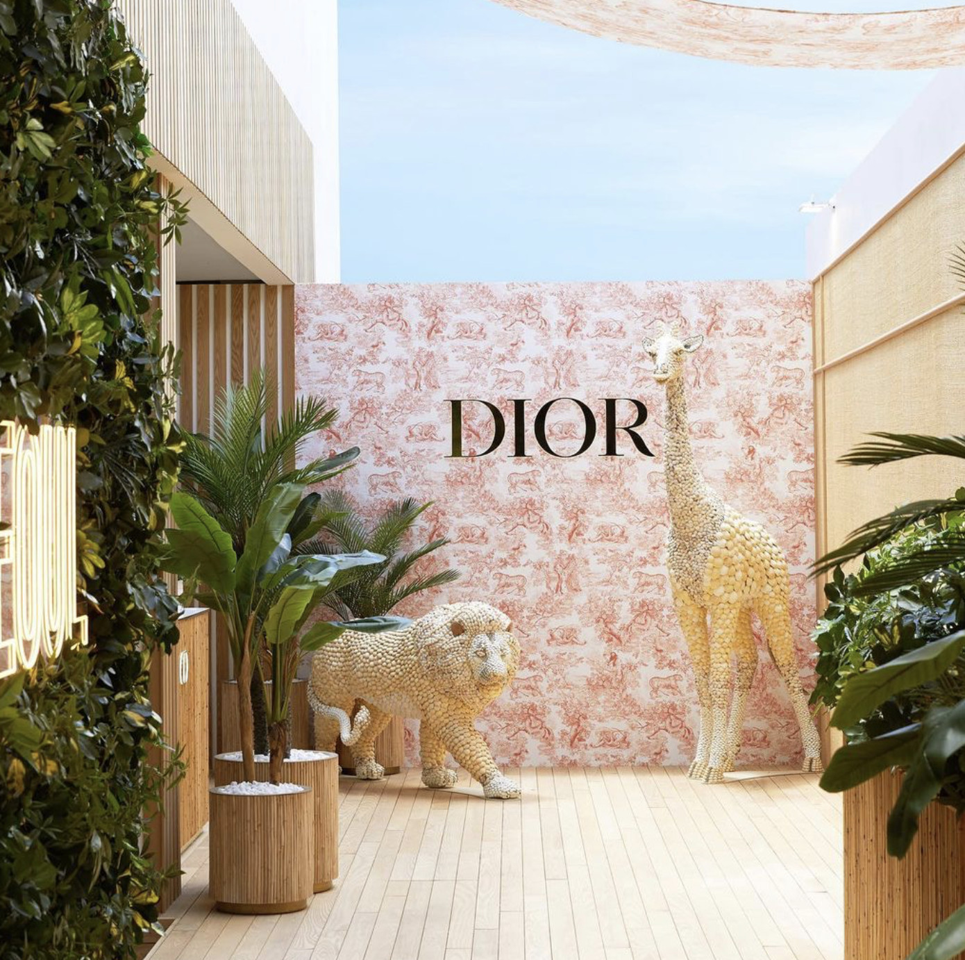 Рианна J'adore Dior 