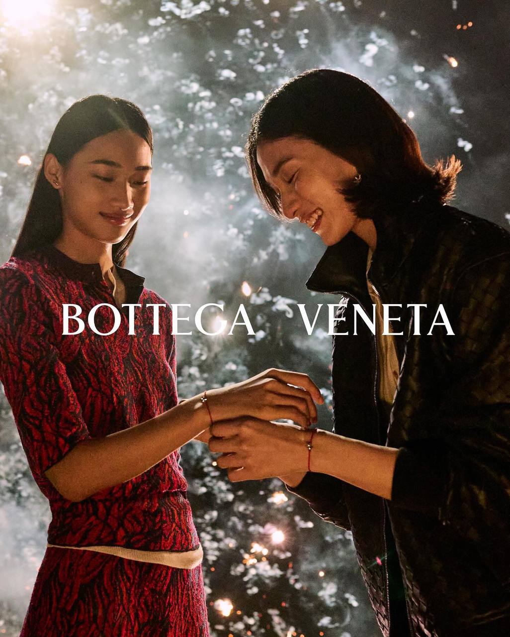 Год Змеи Bottega Veneta кампейн 